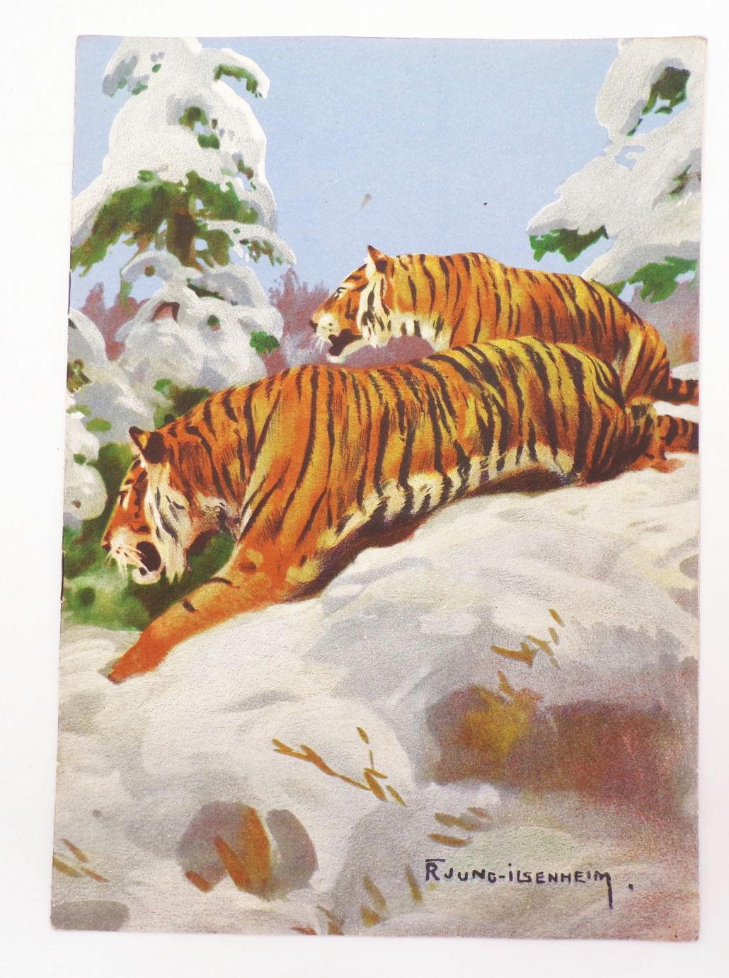 Old Tierpark Zeitung Hellbrunn München Franz Jung Ilsenheim November 1936