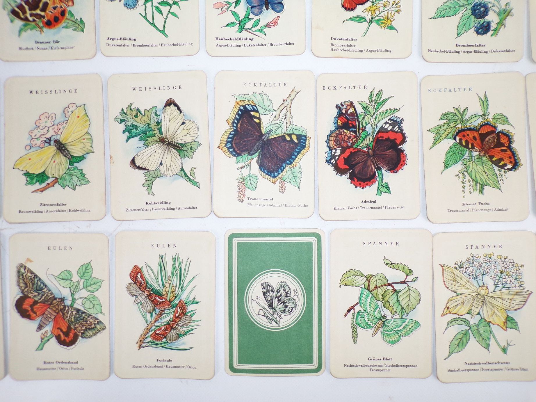 Spiel der Schmetterlinge Ein Quartett Helingsche Verlagsanstalt Leipzig 