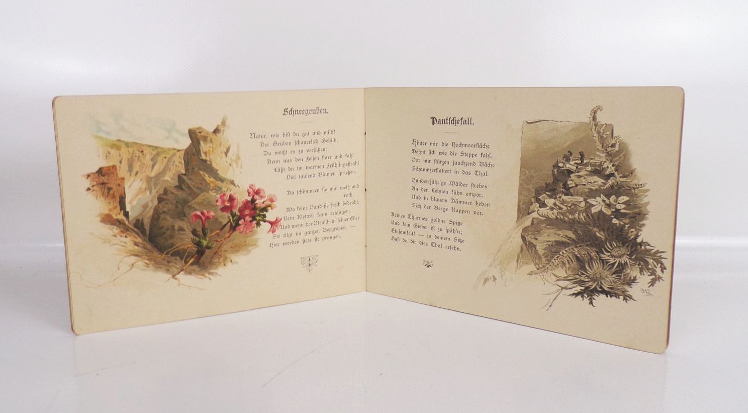 Bergblumen Bilder und Lieder aus dem Riesengebirge Winkler Gerlach Baer 1900er 