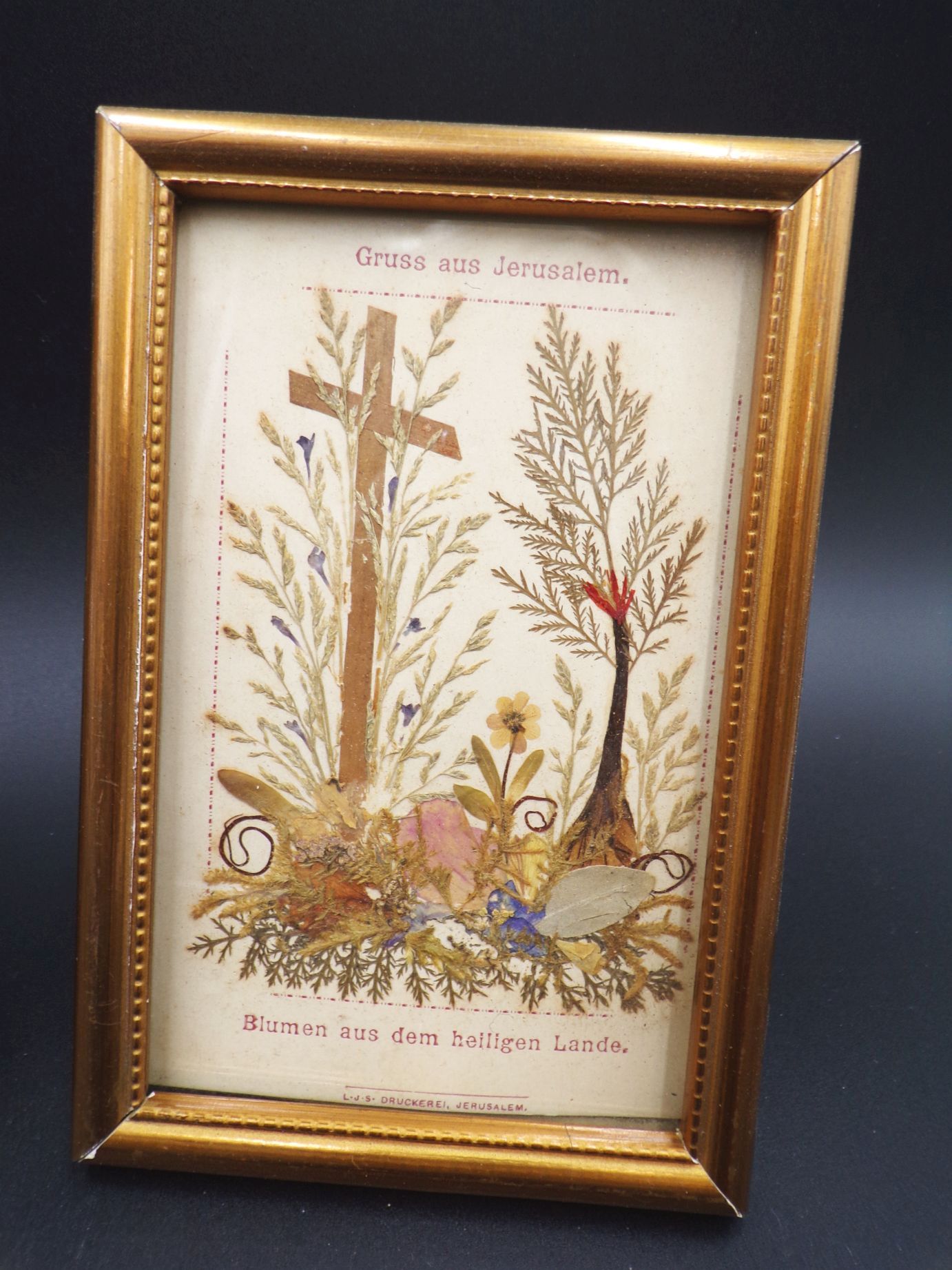 3 Bilder Blumen aus Jerusalem Israel getrocknete Pflanzen Herbarium 