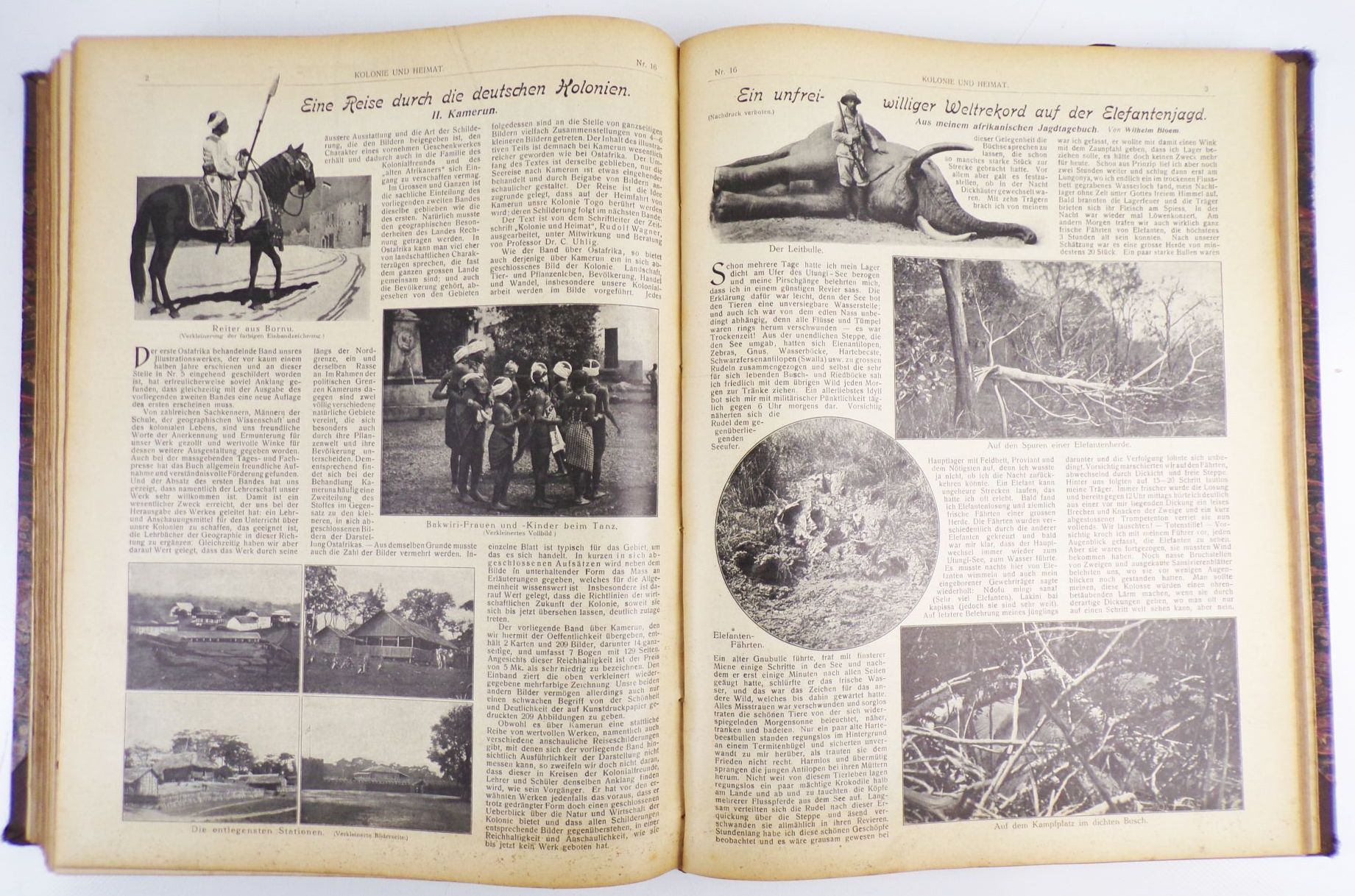 Kolonie und Heimat in Wort und Bild 1908 bis 1910