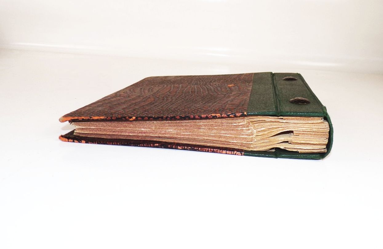 Unsere Heilpflanzen in Bild und Wort für jedermann Richard Schimpfky