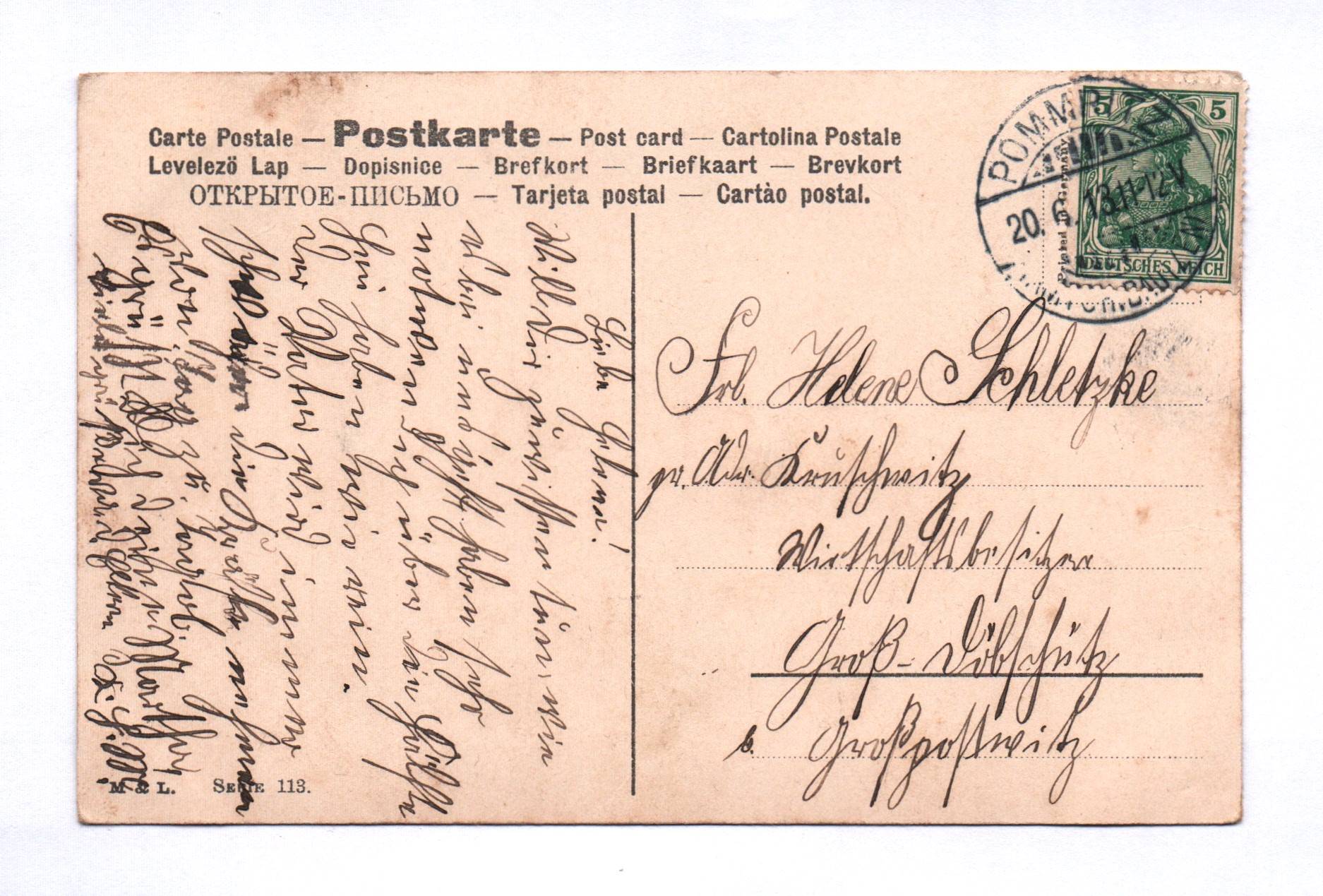 Litho Ak 1913 Gelbe Rosen Blumen