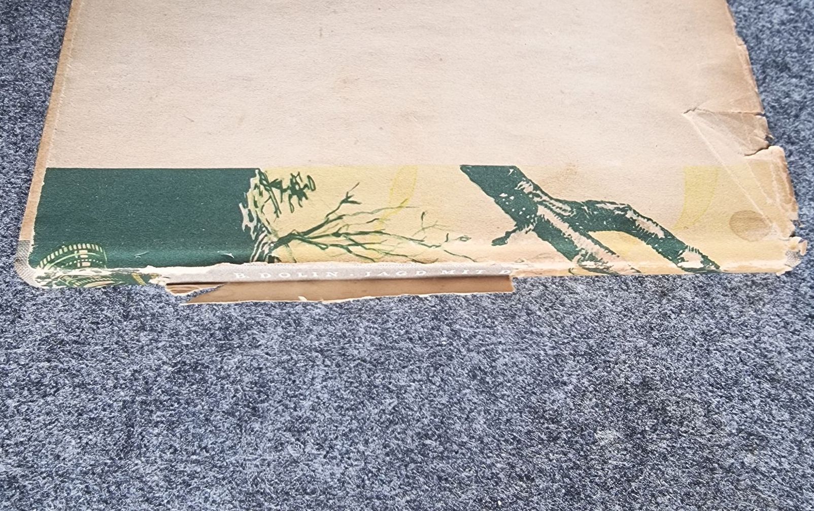 Jagd mit der Filmkamera B Dolin Henschel Verlag Berlin 1952 Aufzeichnungen eines Filmregisseurs Jagd mit der Filmkamera B Dolin Henschel Verlag Berlin 1952 Aufzeichnungen eines Filmregisseurs