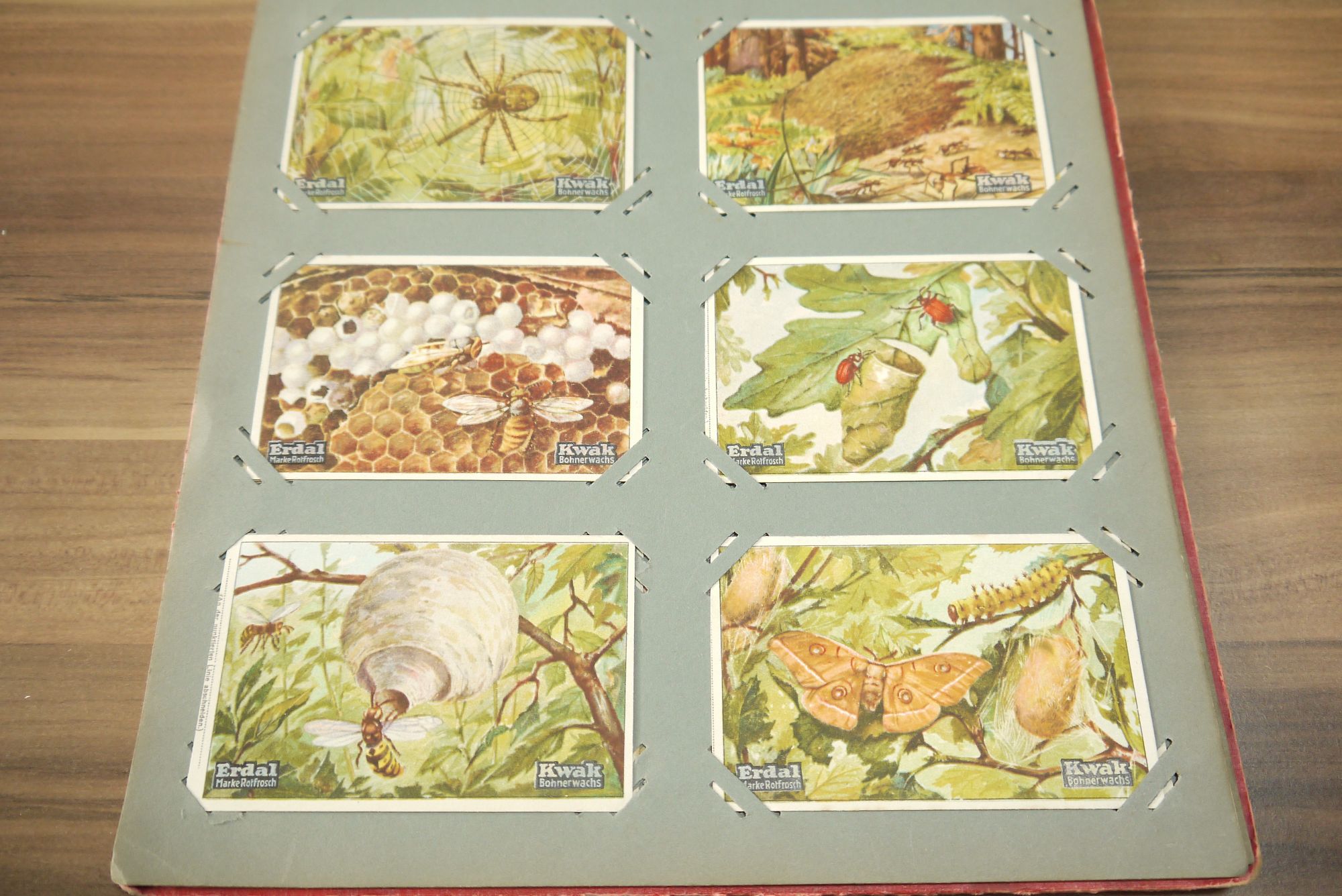 Erdal Kwak Sammelbilderalbung ca 18 Seiten 108 Karten Sammelbilder