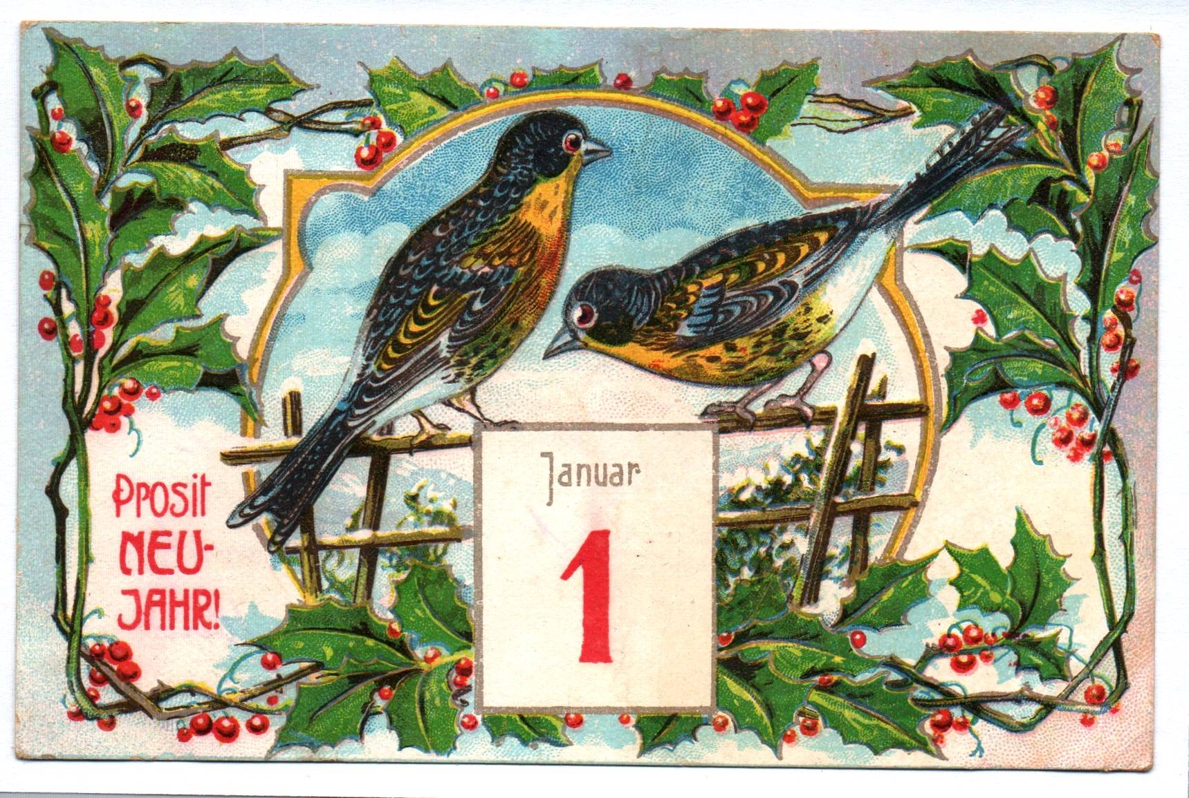 Künstler Ak Prosit Neujahr 1 Januar Vögel am Zaun Künstler Ak Prosit Neujahr 1 Januar Vögel am Zaun
