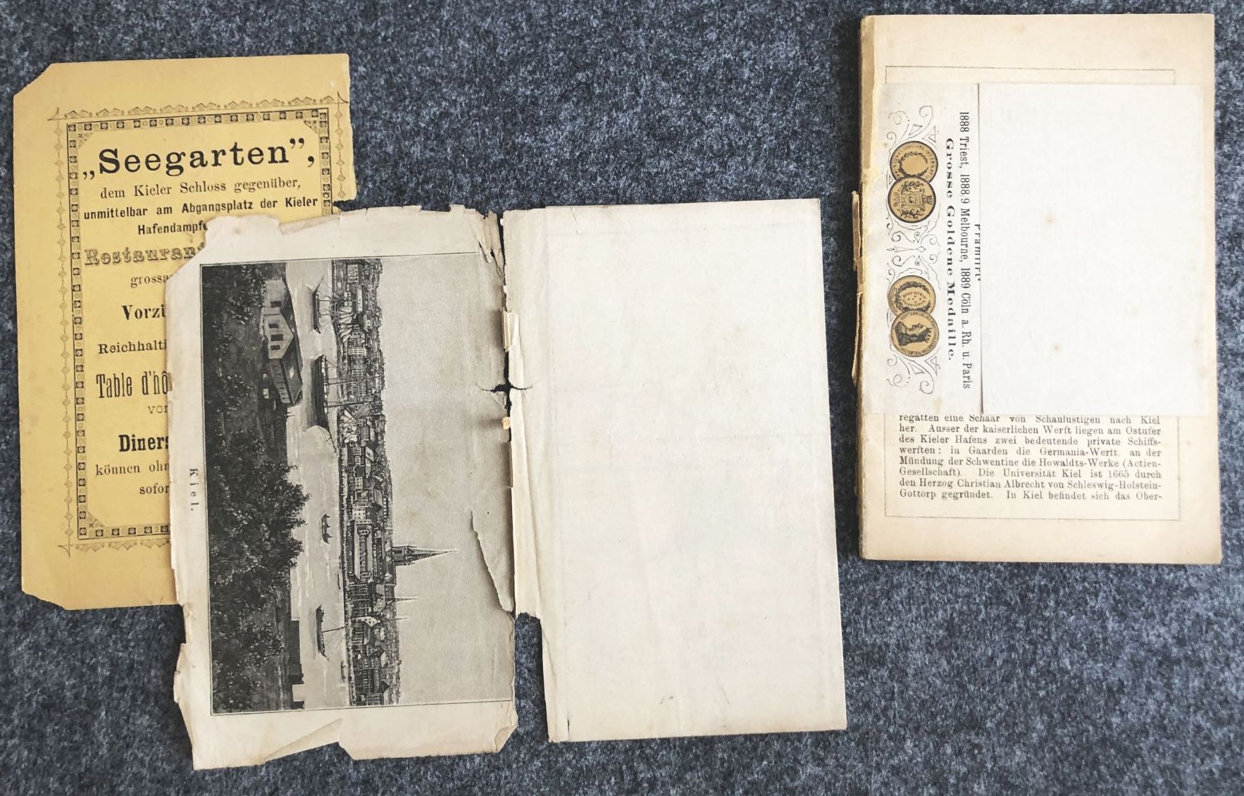 Buch 1890 Führer durch Kiel und Umgegend