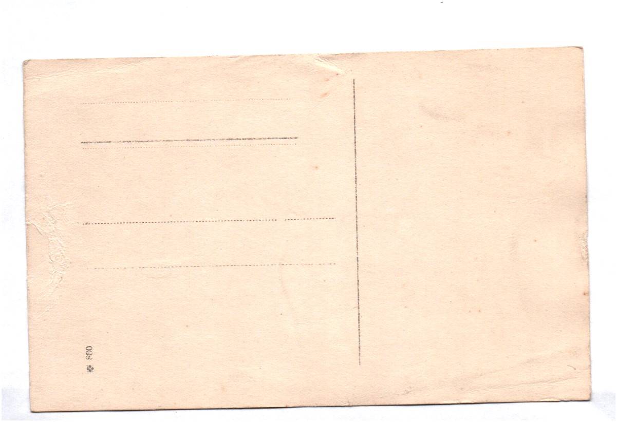 Foto Ak Wohnhaus Wohlau Gleiwitz Polen 1910er Foto Ak Wohnhaus Wohlau Gleiwitz Polen 1910er