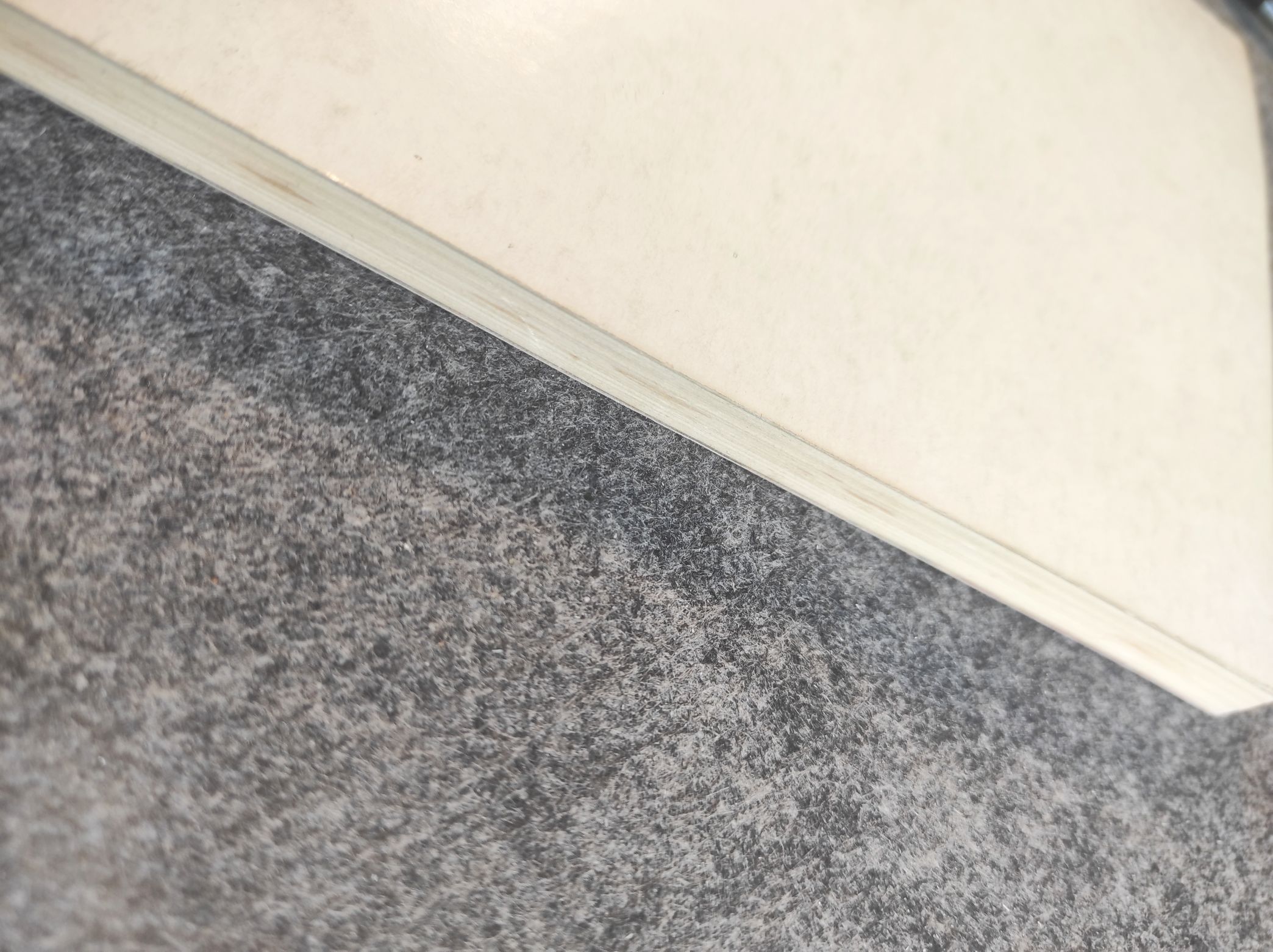 FDJ Vom X zum XI Parlament Junge Welt Berlin 1981 Broschüre FDJ Vom X zum XI Parlament Junge Welt Berlin 1981 Broschüre