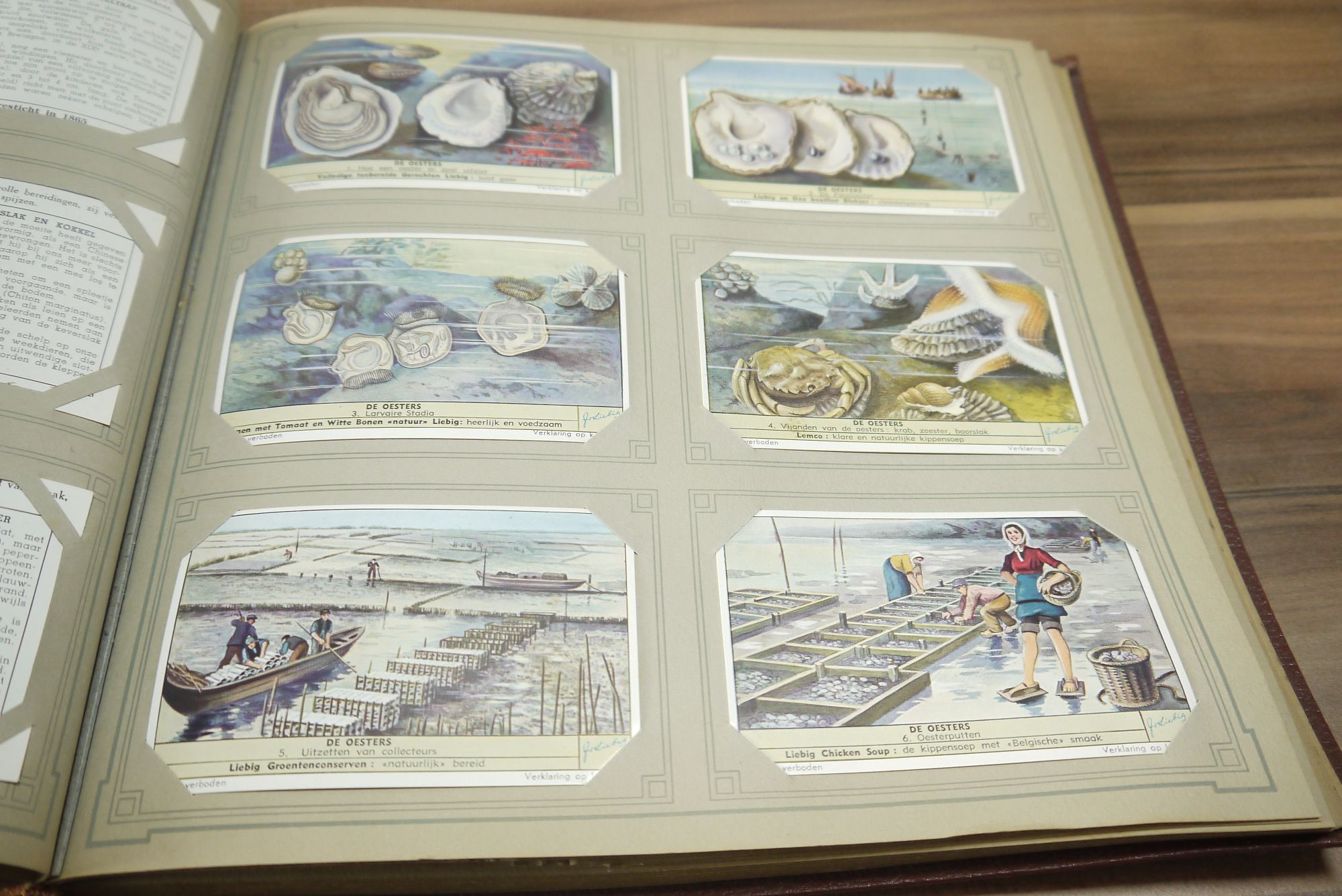 Liebig Album Chromo ca 50 Seiten 296 Karten Sammelbilder