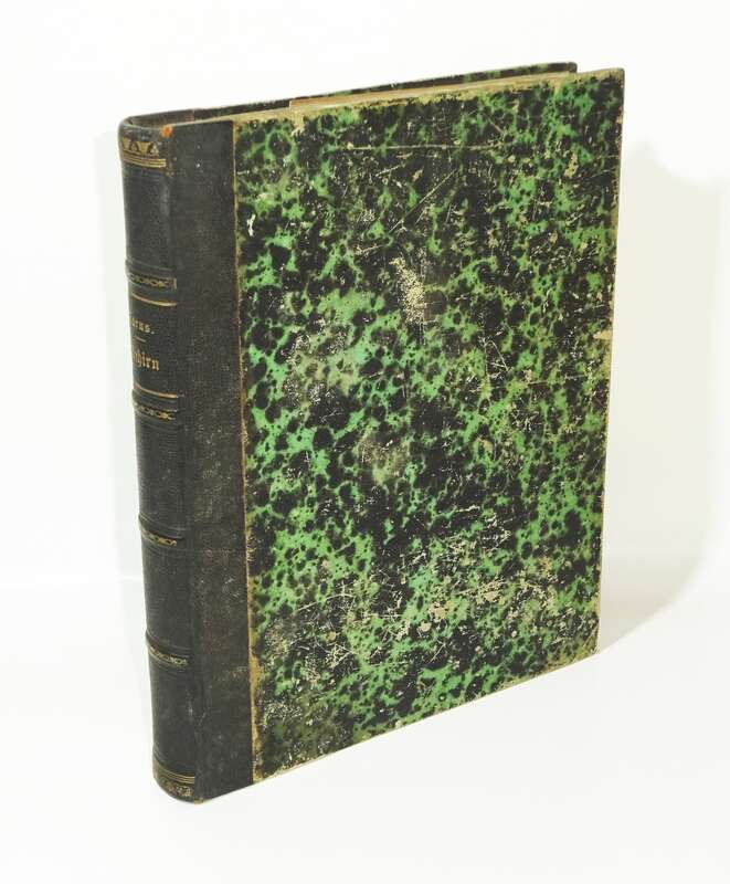 Versuch einer Darstellung des Nervensystems Gehirns Carus 1814 Kupfer