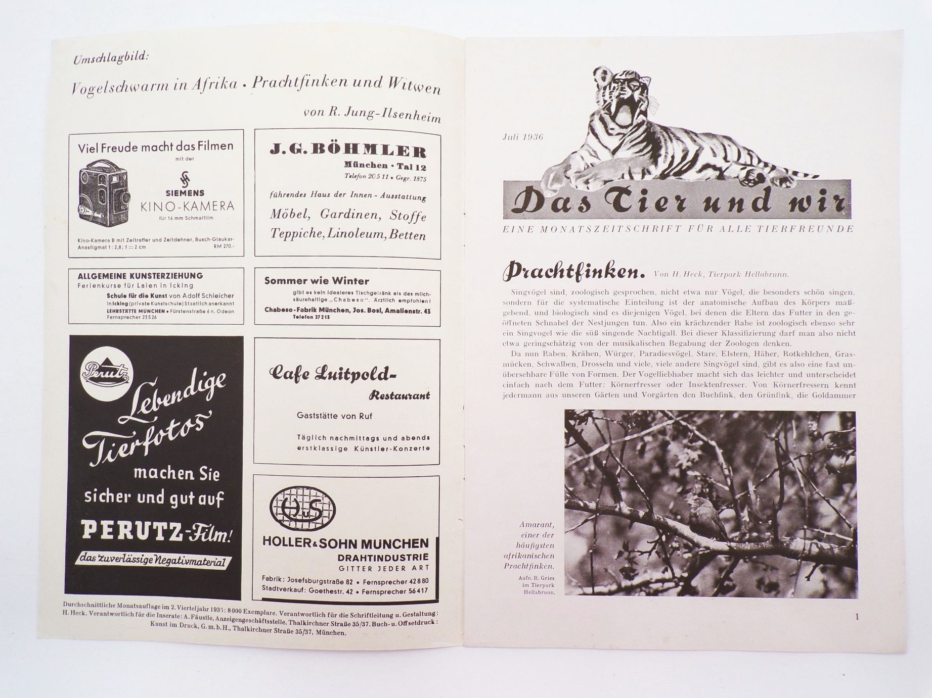 Vintage Tierpark Zeitung Hellbrunn München Franz Jung Ilsenheim Juli 1936