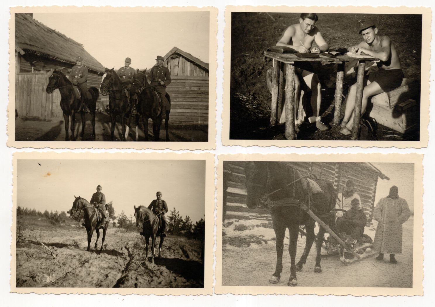 Foto Konvolut Gebirgsjäger 2 Wk Abzeichen Orden Russland Foto Konvolut Gebirgsjäger 2 Wk Abzeichen Orden Russland