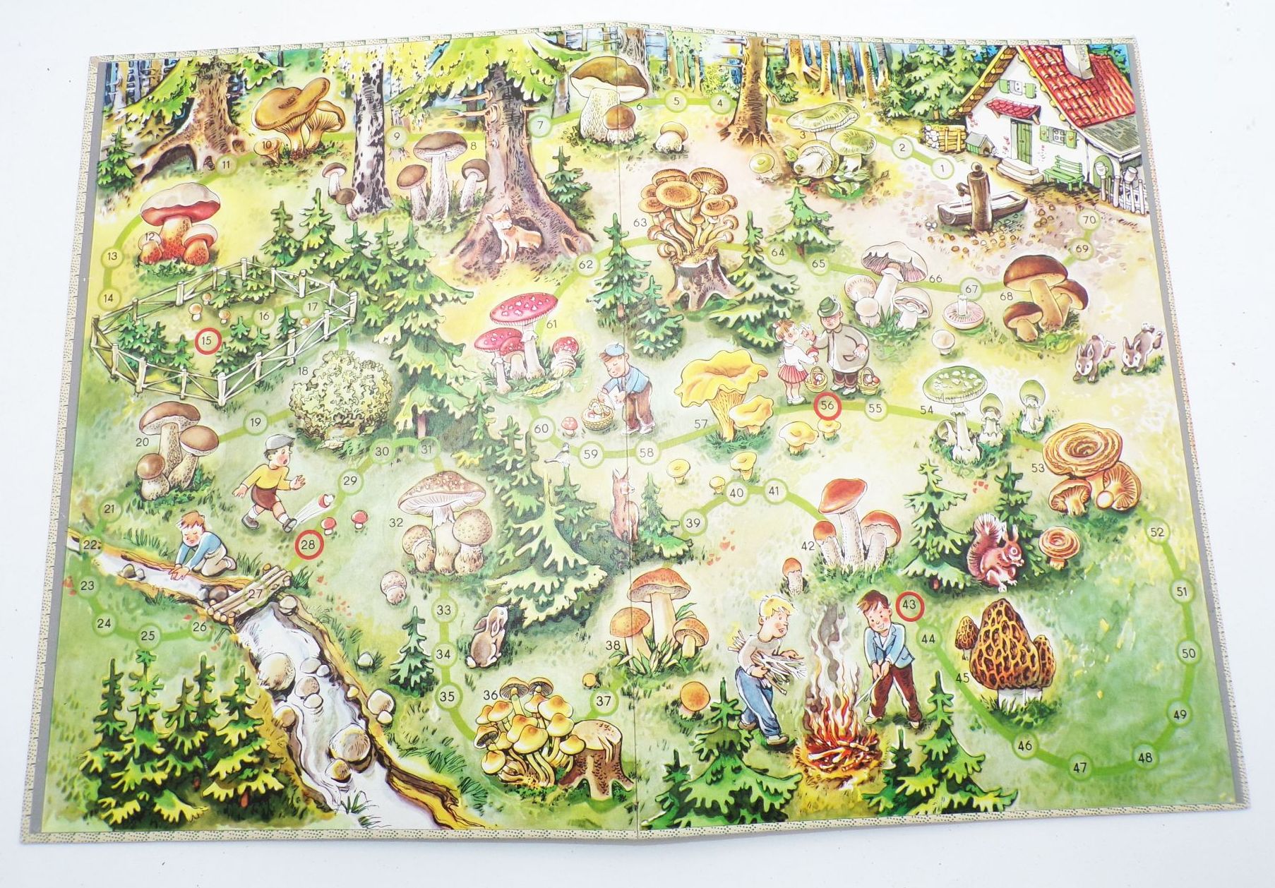 Wir sammeln Pilze DDR Würfelspiel Spika original Brettspiel Wir sammeln Pilze DDR Würfelspiel Spika original Brettspiel