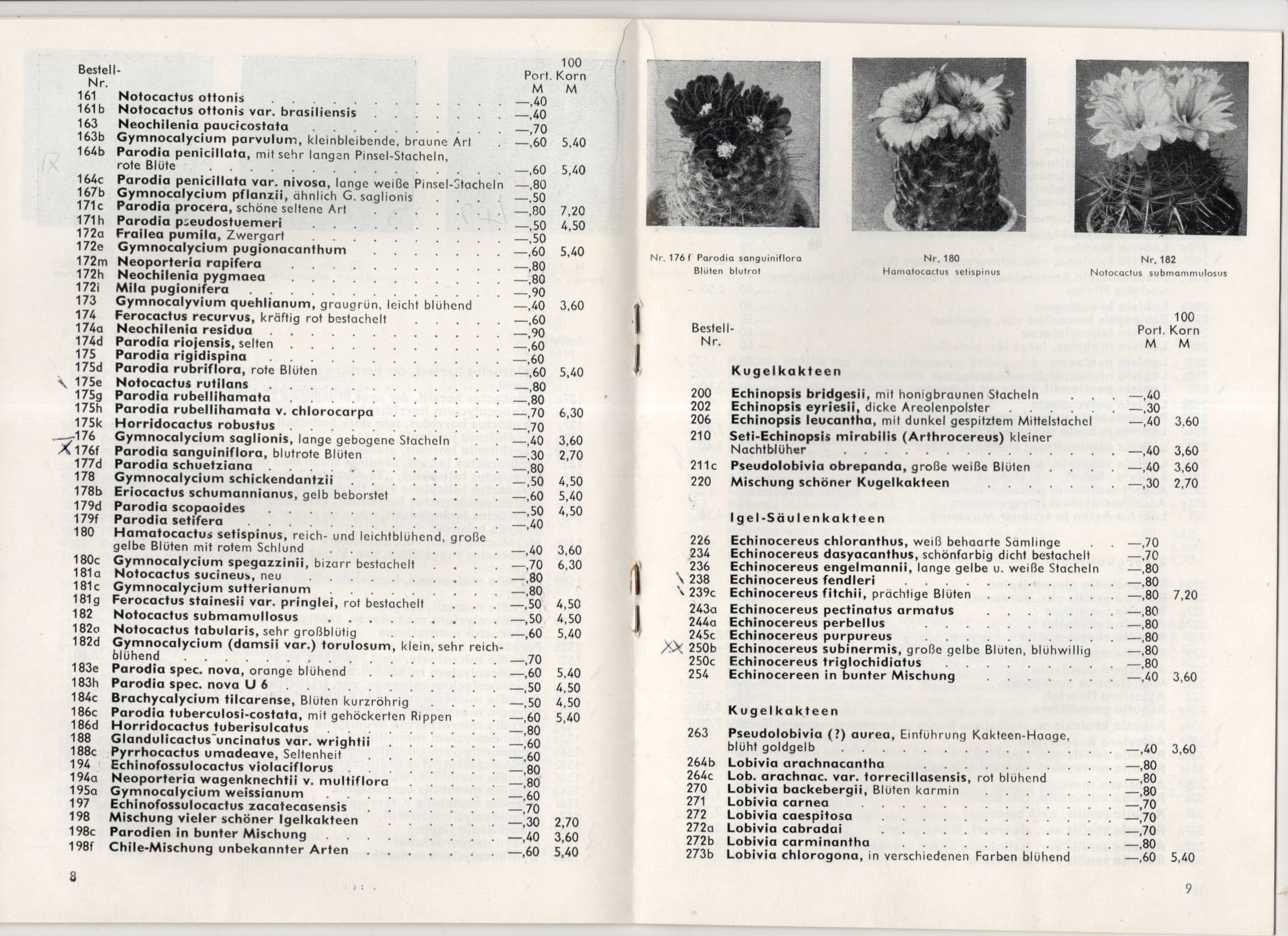 Alte Preislisten Kakteen Samen 1968 bis 1973 Kaktus Katalog Alte Preislisten Kakteen Samen 1968 bis 1973 Kaktus Katalog