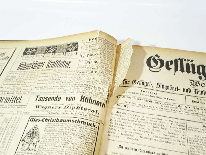 Geflügel Börse 1911 Tier Börse 1912 gebundene Zeitschrift Tierzucht 