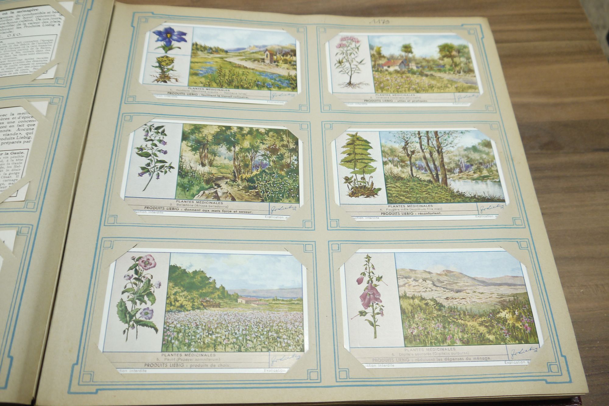 Liebig Chromo Album Sammelbilderalbum ca 52 Seiten 312 Karten Sammelbilder