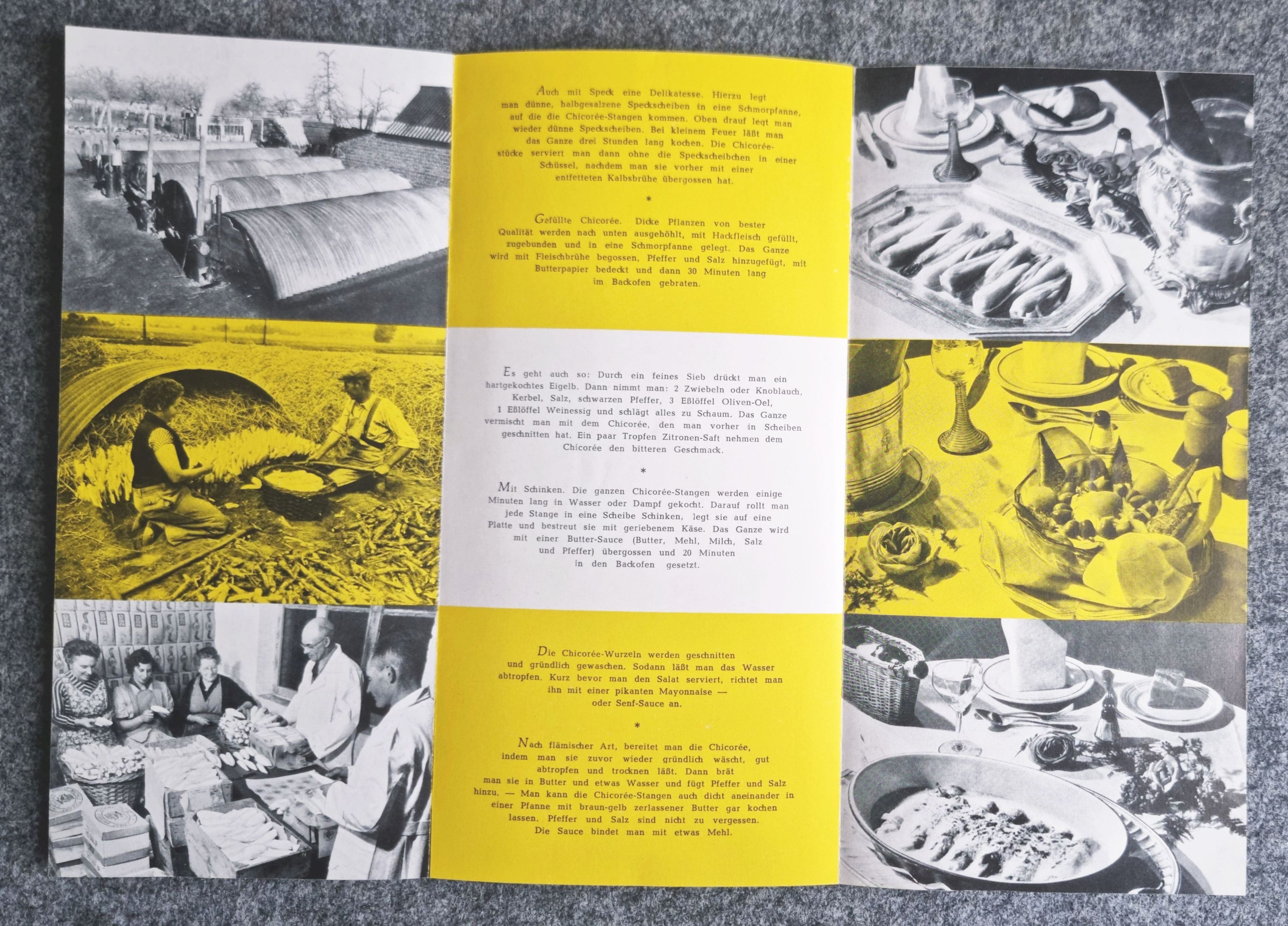 Prospekt Chicoree aus Belgien alter Broschüre das Gericht der Feinschmecker Prospekt Chicoree aus Belgien alter Broschüre das Gericht der Feinschmecker