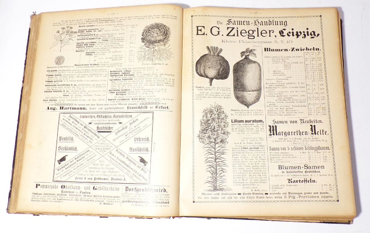 Der praktische Ratgeber im Ost und Gartenbau 1890 