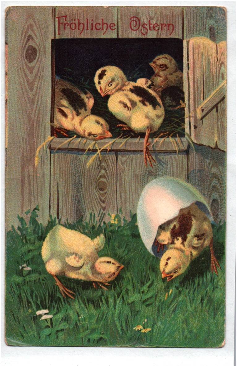 Ak Küken purzeln aus dem Ei Ostern um 1910