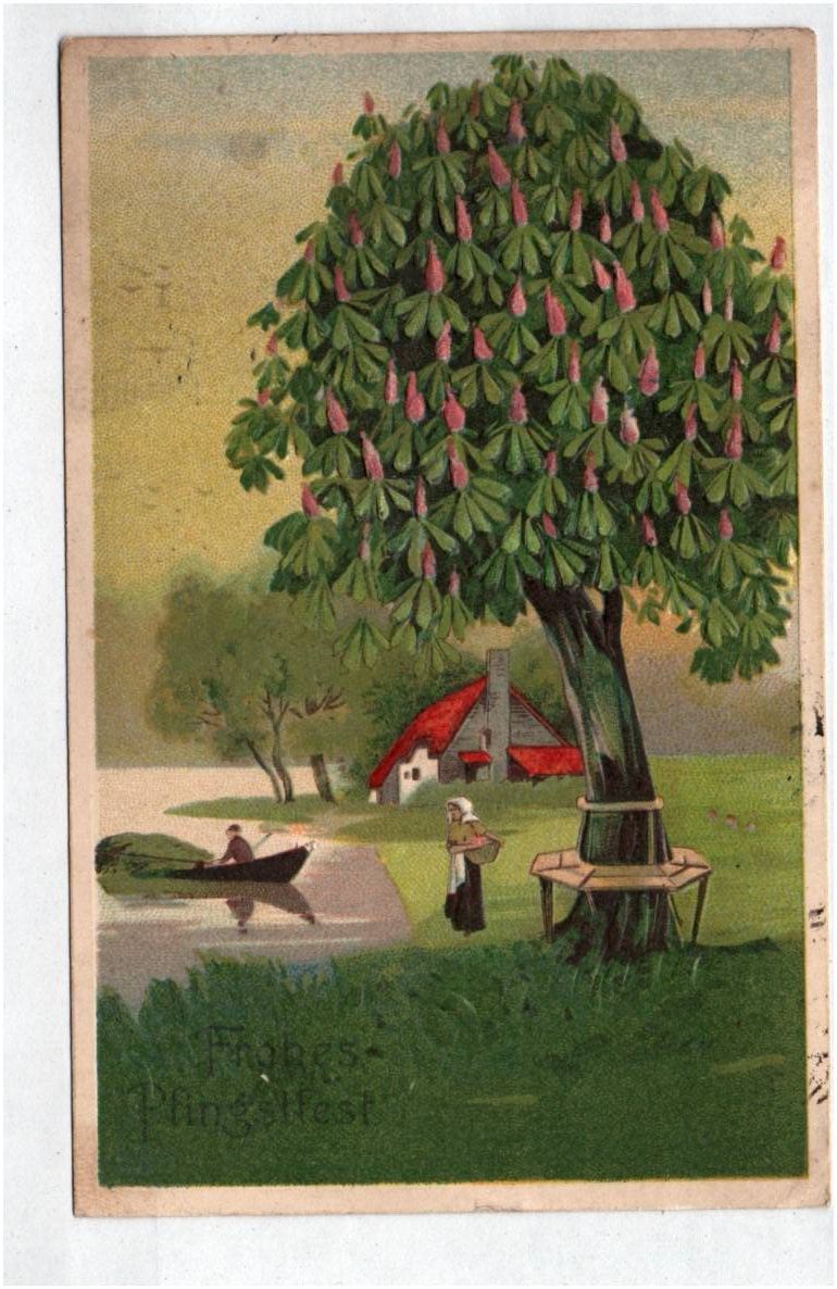 Ak Kastanie Baum Fröhliche Pfingsten 1912 geprägt 