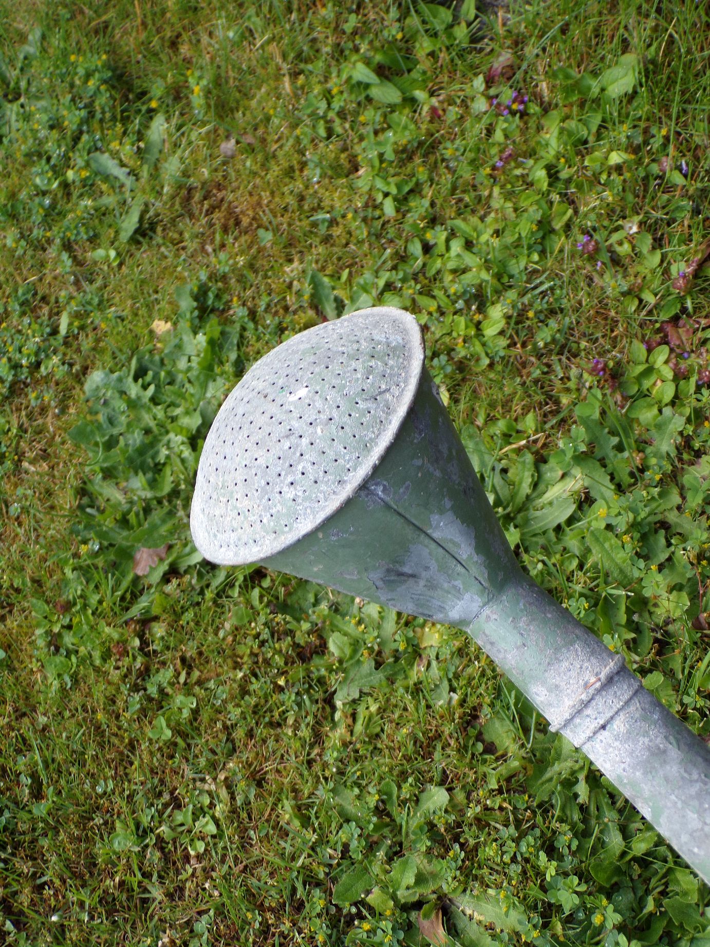 Alte Gießkanne Zinkgießkanne 10 Liter Garten Gartengießkanne Deko