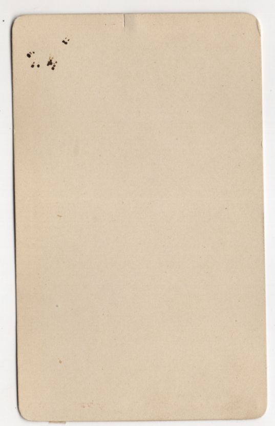 Fotografie CDV Foto Kranichschnabel Botanik Pflanze um 1880 koloriert Fotografie CDV Foto Kranichschnabel Botanik Pflanze um 1880 koloriert