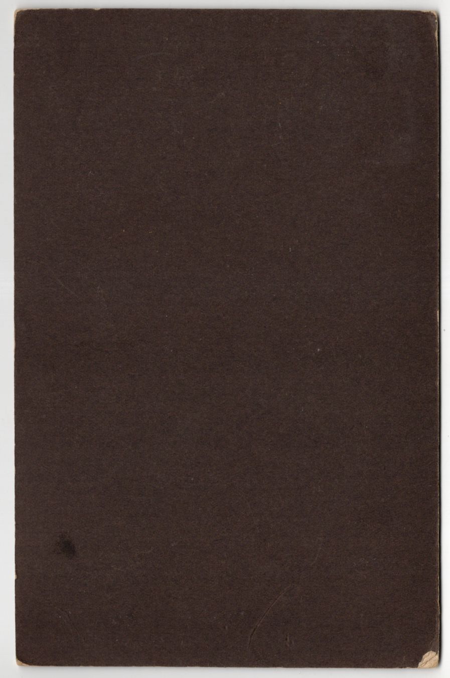Kabinettfoto geschmückte Kinder um 1900 wohl Forstfest Kamenz 
