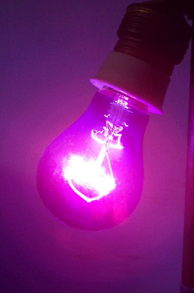 Alte Glühlampe Blau E27 BGW OVP Leuchtmittel DDR 75 Watt Blaulicht