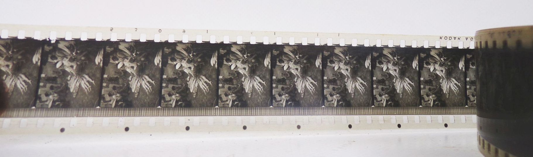 Carette Laterna Magica OVP Konvolut Glasplatten Bilder 35 mm Filme Nachlass