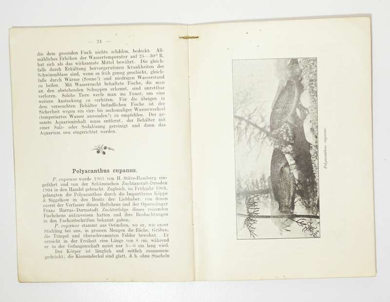 Die Makropode Bibliothek für Aquarienkunde Terrarienkunde 1906 