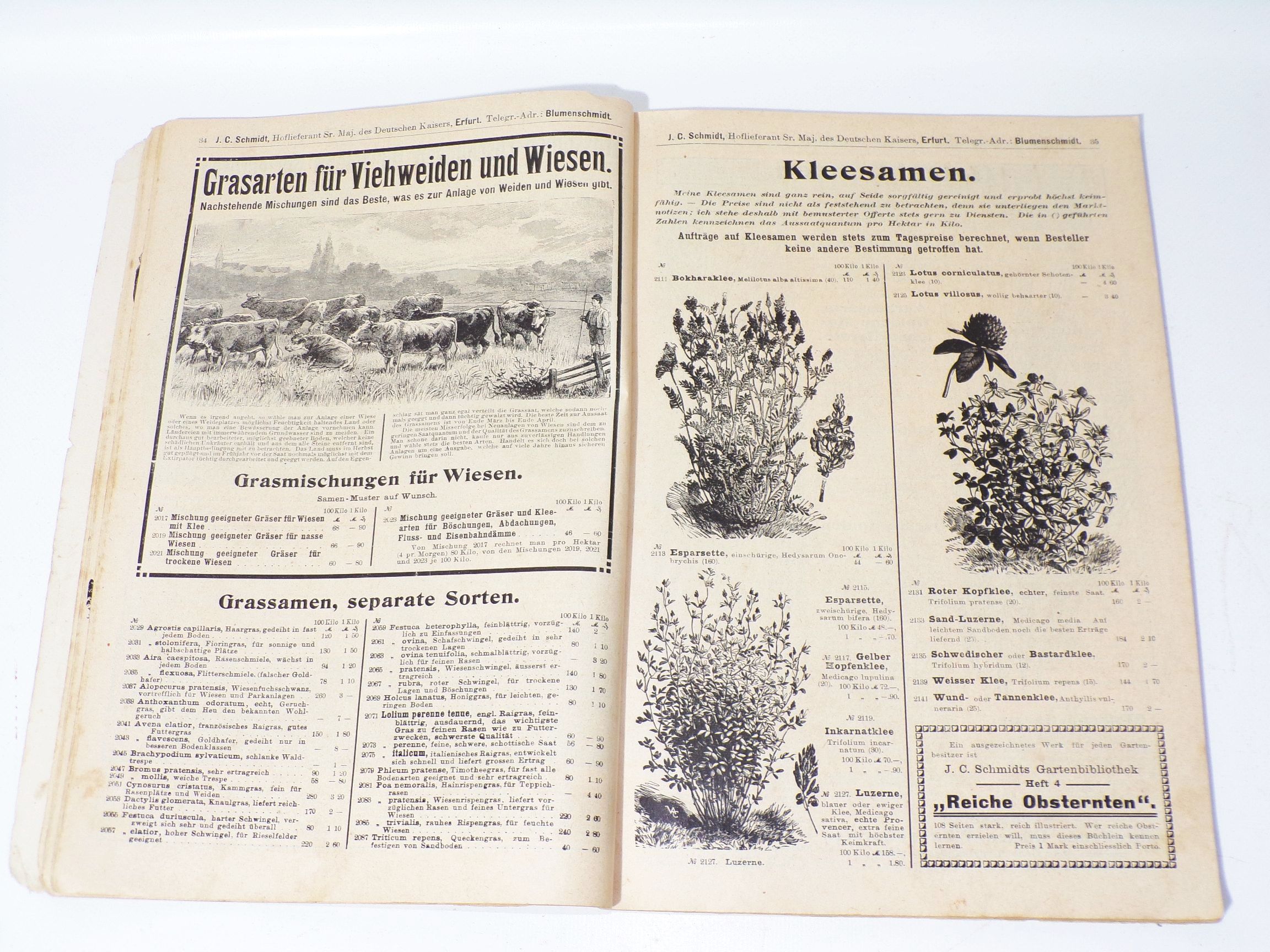 Katalog Schmidt Erfurt 1908 Preisbuch Blumen Gemüse Zimmerpflanzen Saatgut
