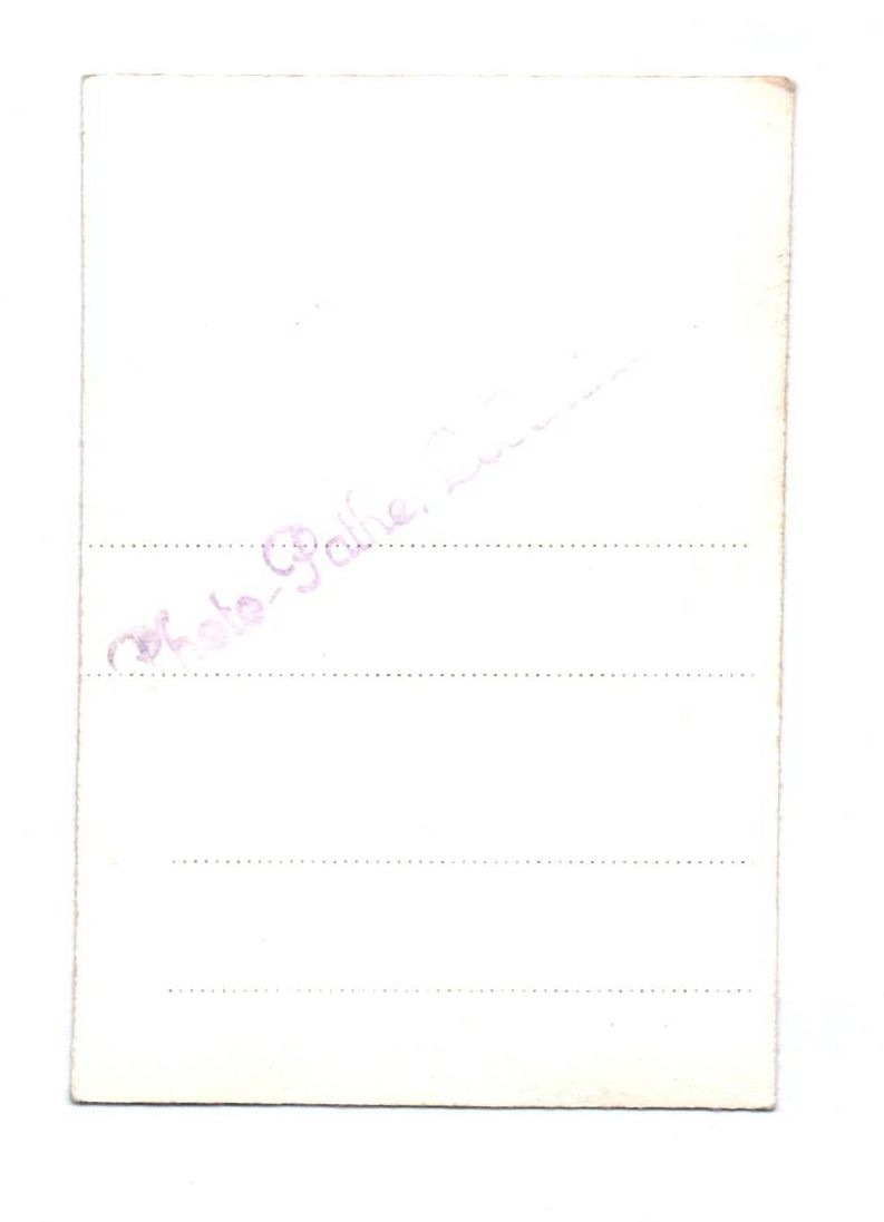 Portrait Foto Frau mit RAD Brosche Drittes Reich Fotografie weiblicher RAD