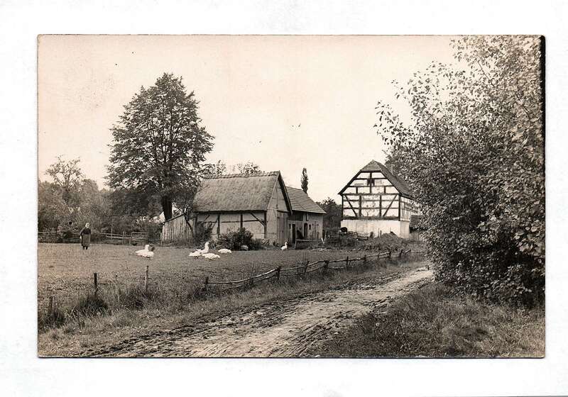 Alte Foto Postkarte Bauernhof mit Bäuerin und Gänsen