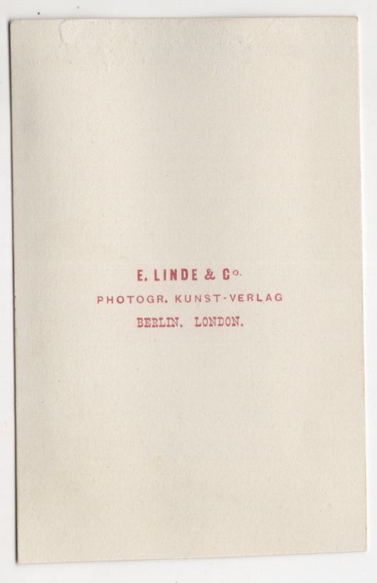 Alte Fotografie zweiflüglige Halesie um 1880 koloriert Linde Co Berlin CDV Alte Fotografie zweiflüglige Halesie um 1880 koloriert Linde Co Berlin CDV