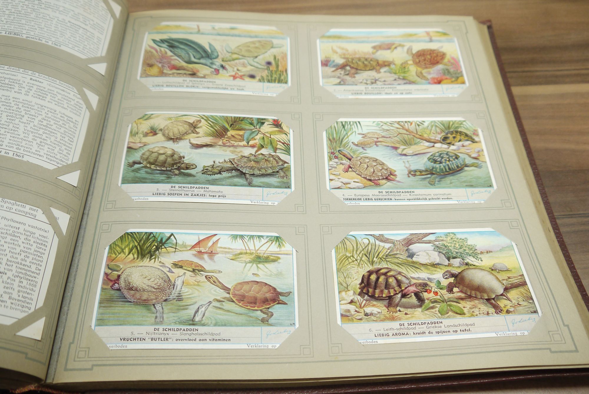 Liebig Album Chromo ca 50 Seiten 296 Karten Sammelbilder