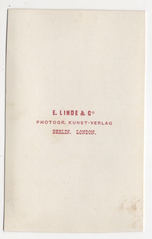 Alte Fotografie Calla hybrida Südamerika um 1880 koloriert Linde Co Berlin CDV Alte Fotografie Calla hybrida Südamerika um 1880 koloriert Linde Co Berlin CDV