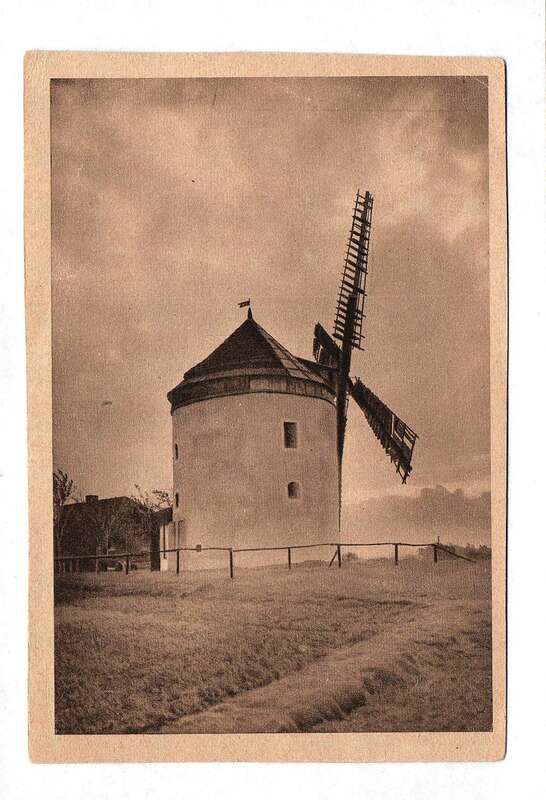 Ak Foto Windmühle Rodewitz bei Löbau Sachsen 1932/33