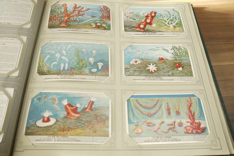 Liebig Sammelbilderalbung Chromo ca 48 Seiten 288 Sammelbilder