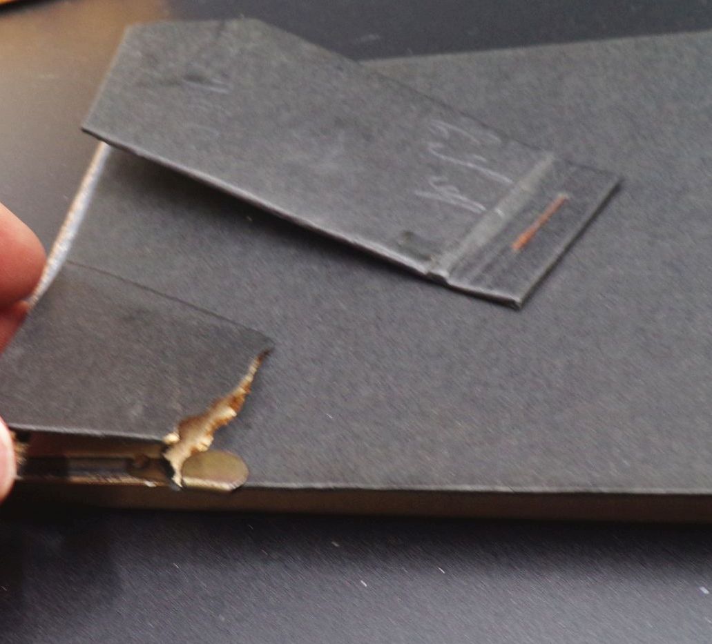 3 Bilder Blumen aus Jerusalem Israel getrocknete Pflanzen Herbarium 