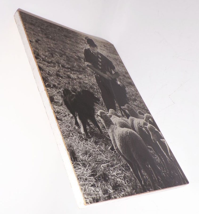 Vintage Foto Schäfer Hirte 1960er Fotografie