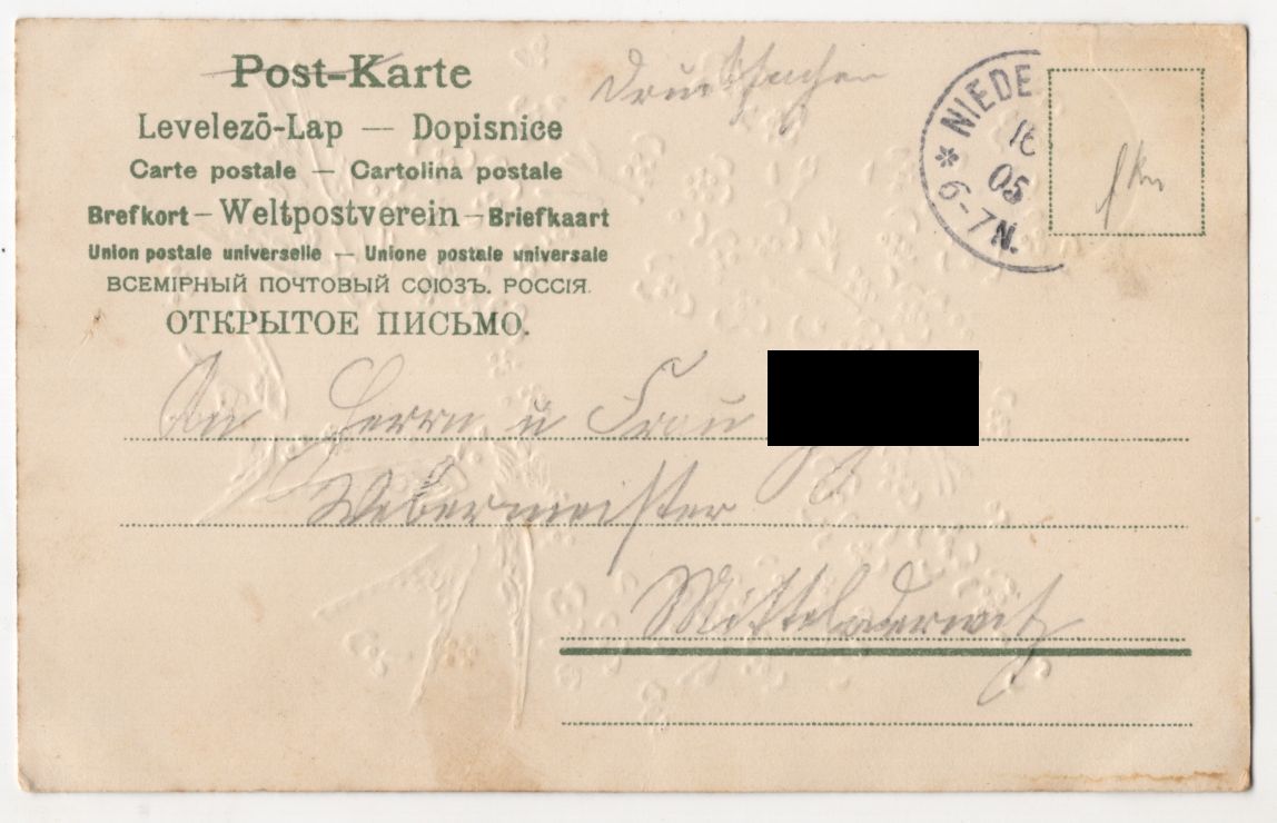 Litho Ak Schwalben mit Vergissmeinnicht Blumen gold geprägt Geburtstag 1905 Litho Ak Schwalben mit Vergissmeinnicht Blumen gold geprägt Geburtstag 1905