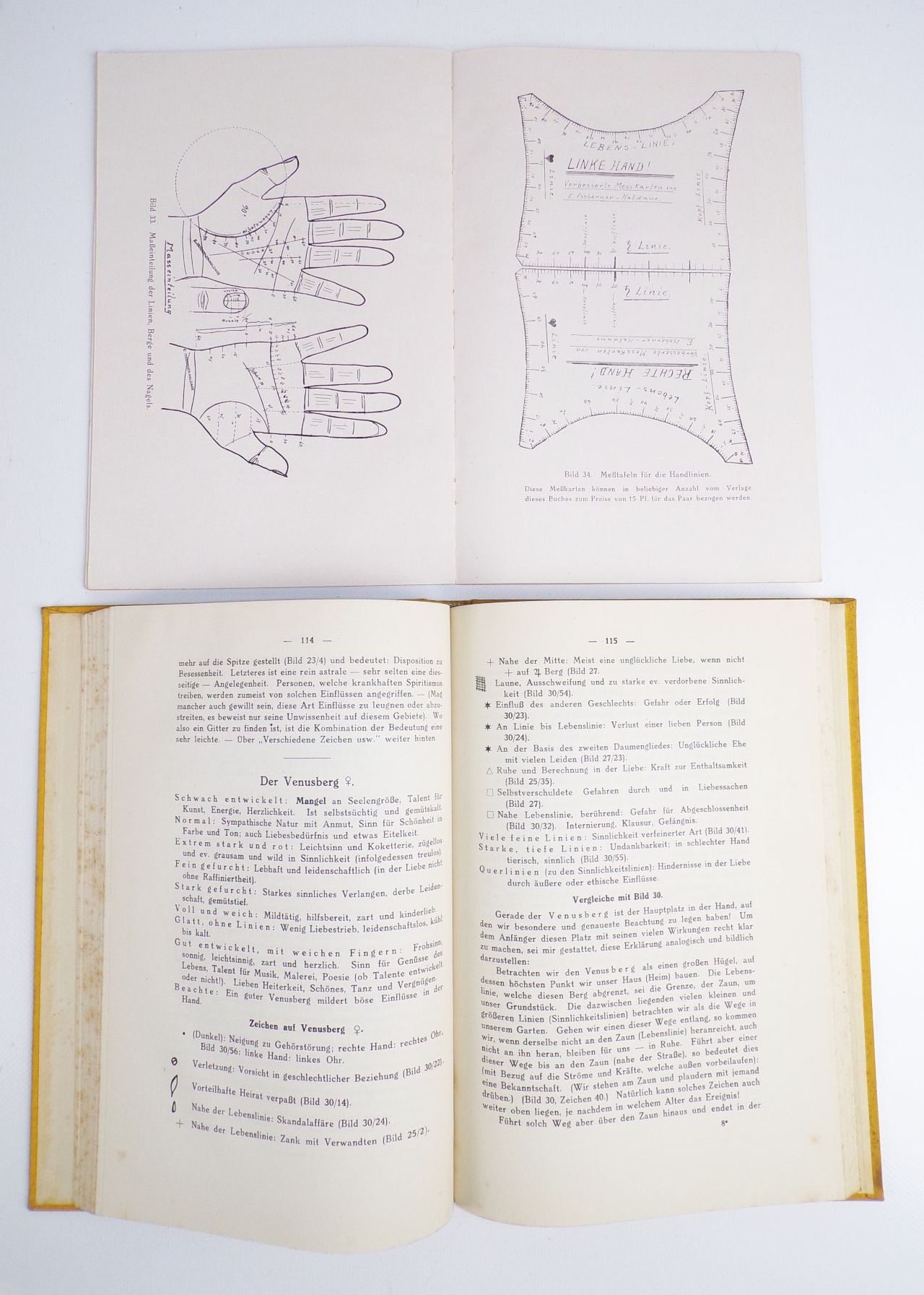 Buch Wissenschaftliche Handlesekunst von Ernest Issberner Haldane 1928