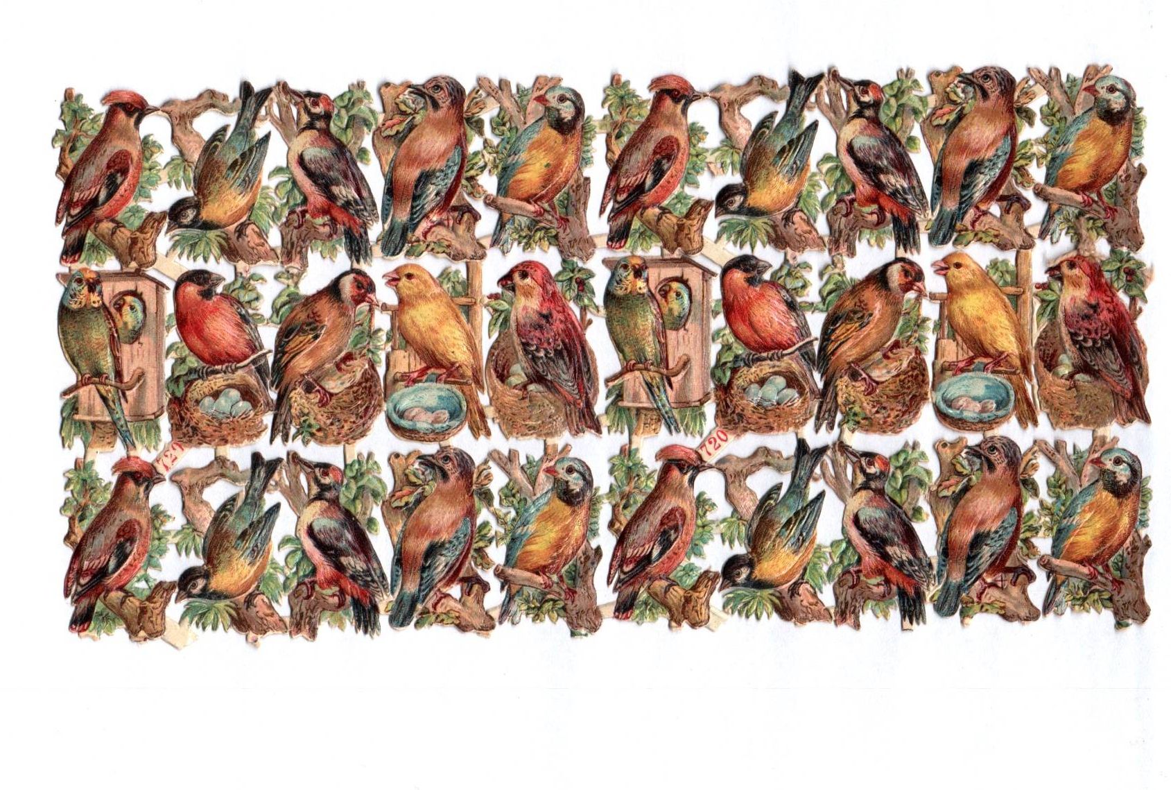 Alte Oblaten Bogenteile Vögel stark geprägt No 720 