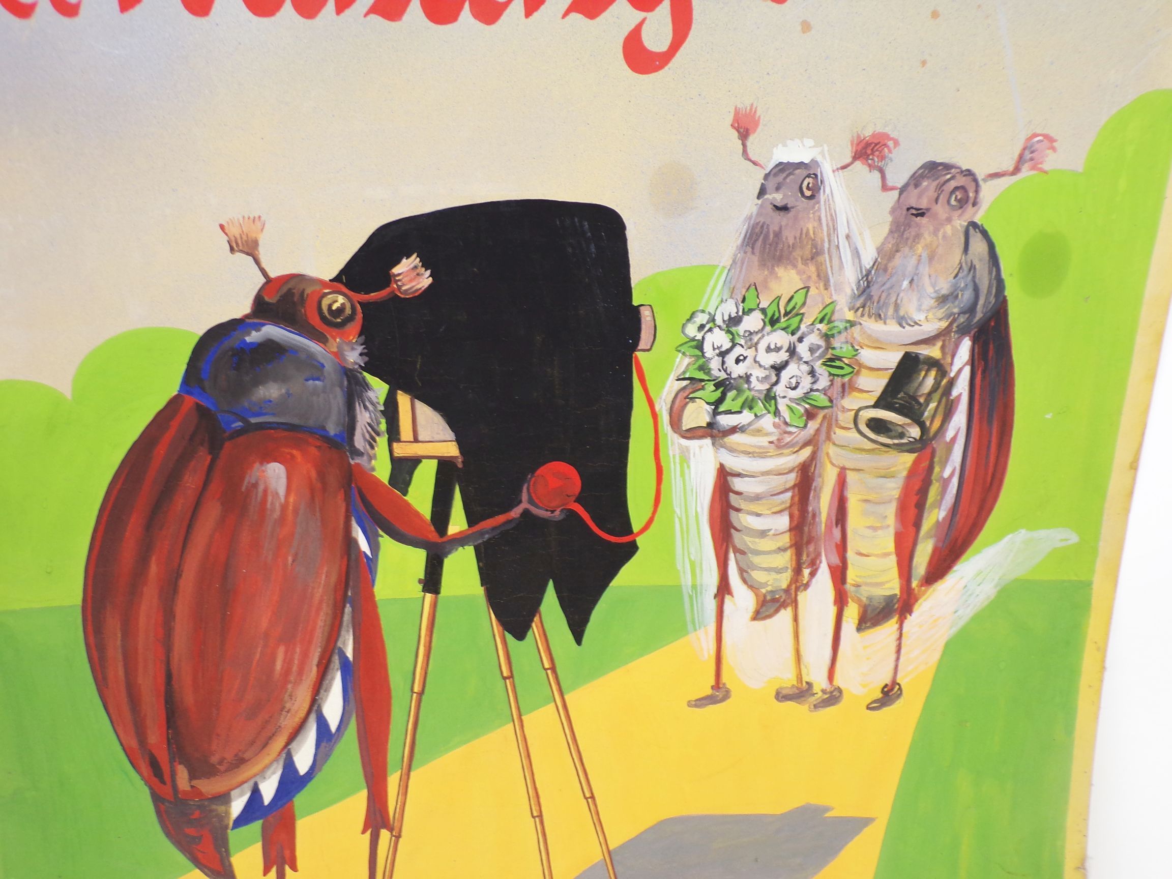Altes Pappschild Fotograf Reklame vermenschlichte Maikäfer Handgemalt 