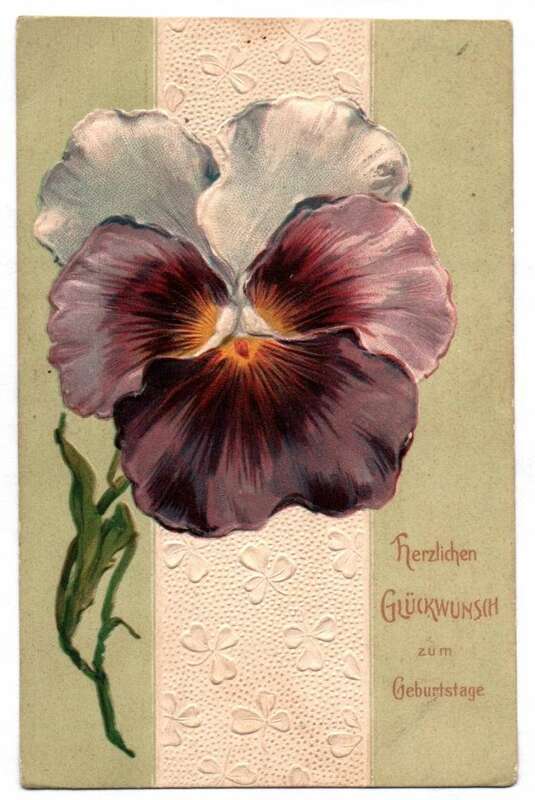 Geburtstag Ak Stiefmütterchen geprägt Blüte Blue 1907