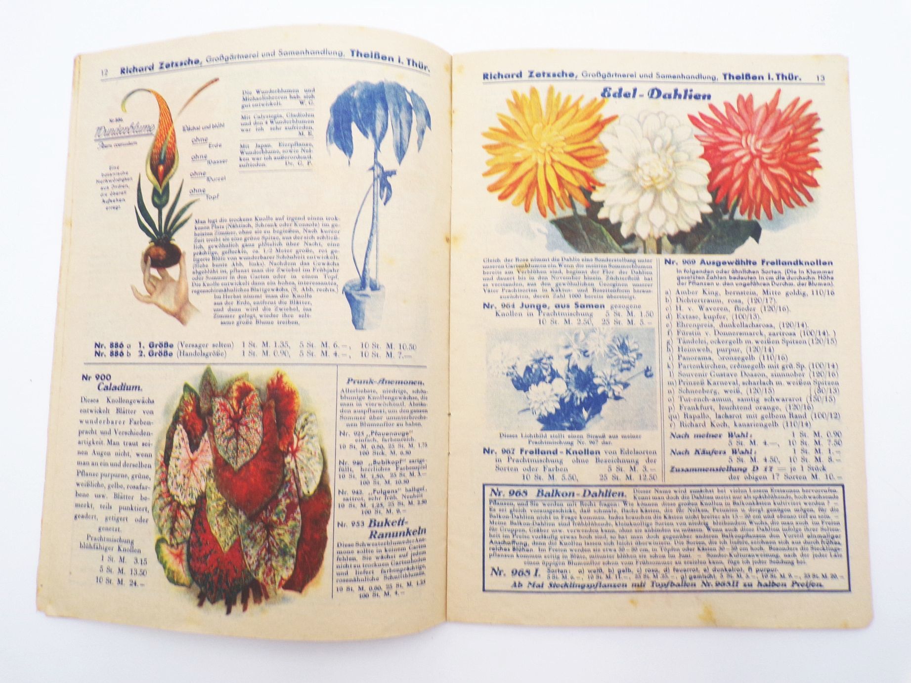 Katalog Richard Zetzsche Theissen Thüringen Saatgut Zeppelin 1929 bis 1931 Katalog Richard Zetzsche Theissen Thüringen Saatgut Zeppelin 1929 bis 1931