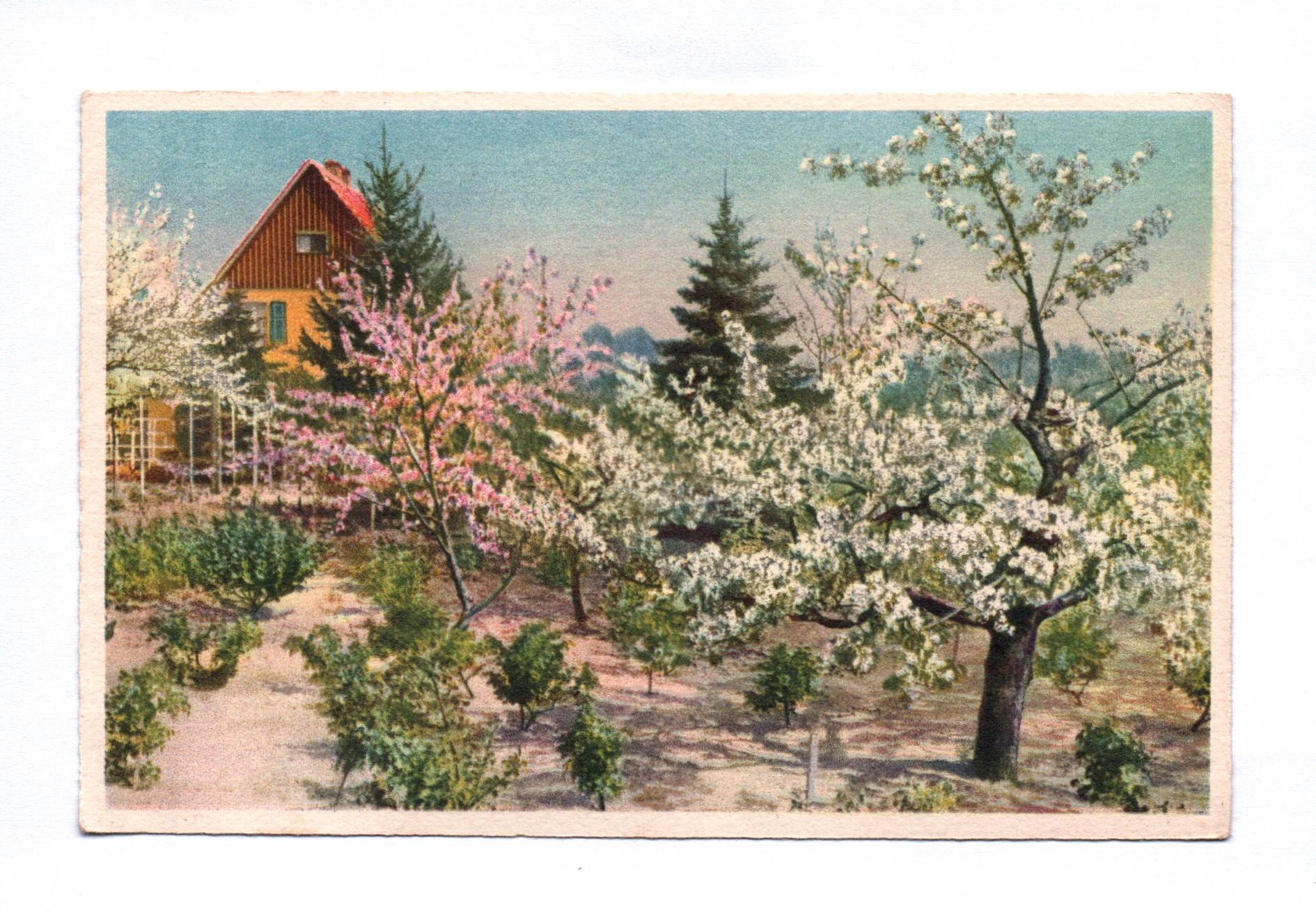 Ak Photochromie Gaststätte Bismarckhöhe Werder Havel Ak Photochromie Gaststätte Bismarckhöhe Werder Havel