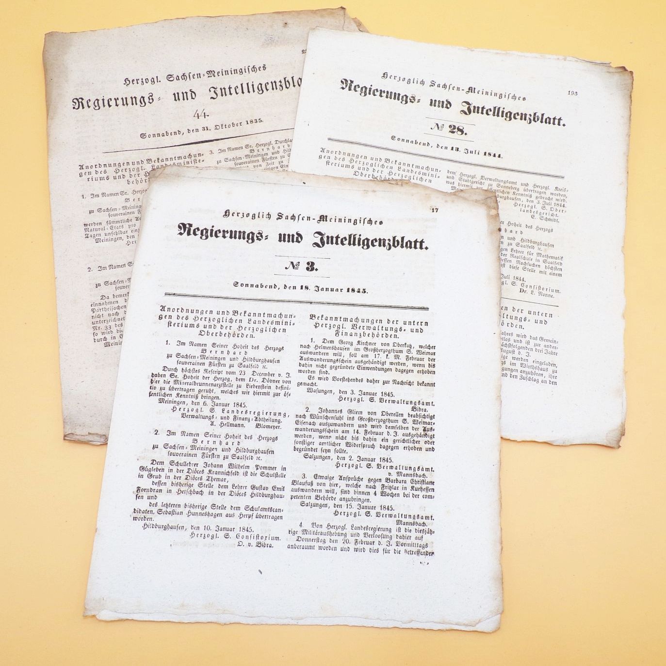 Zeitung Antik Herzoglich Sachsen Meiningisches Regierungs und Intelligenzblatt 1835
