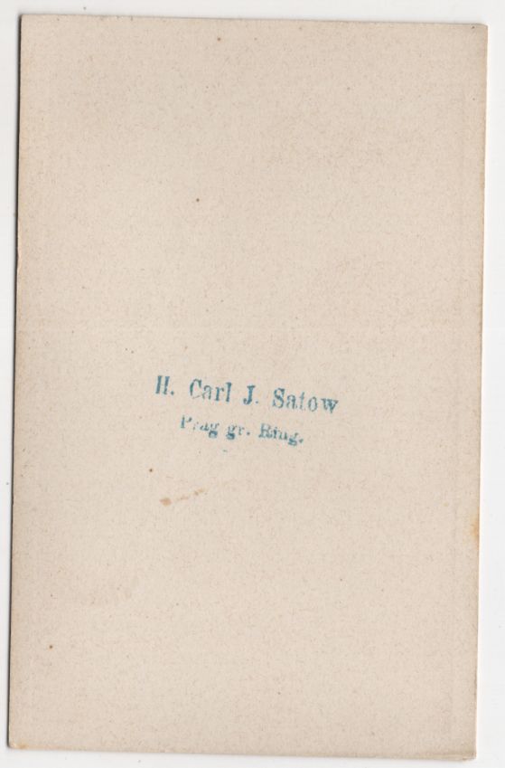 CdV Foto Blumen Arrangement František Fridrich Prag um 1880 koloriert